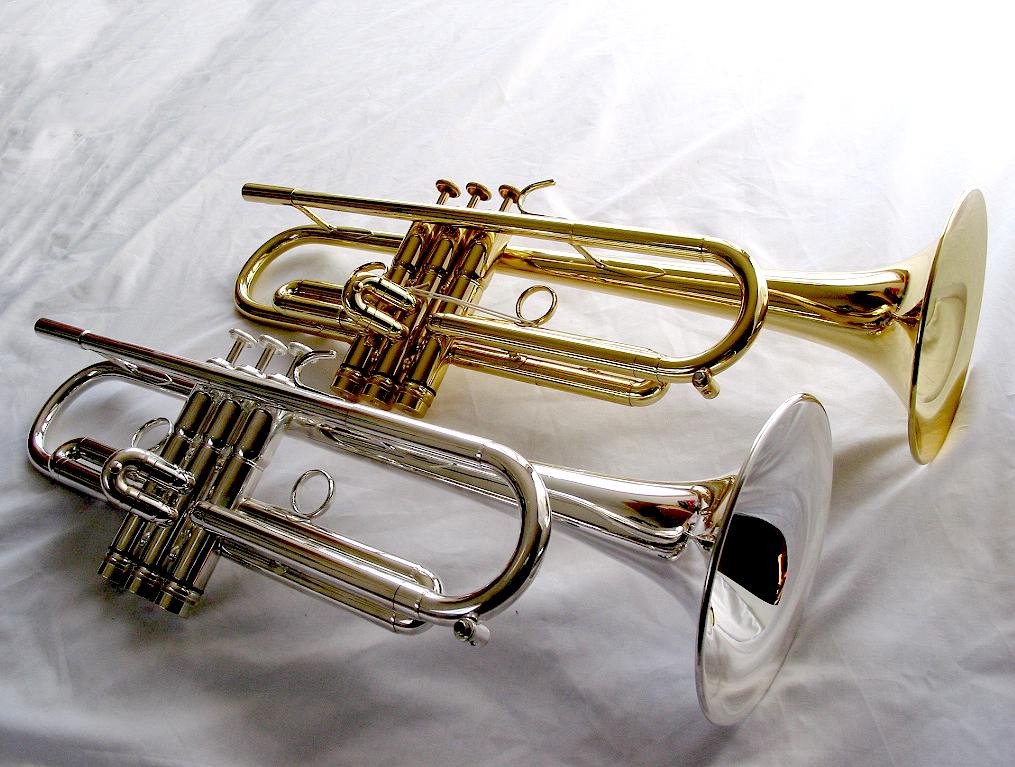 Monette BOBCAT Pocket trumpet. I am completely amazed.